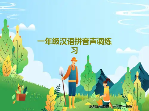 一年级汉语拼音声调练习27页PPT