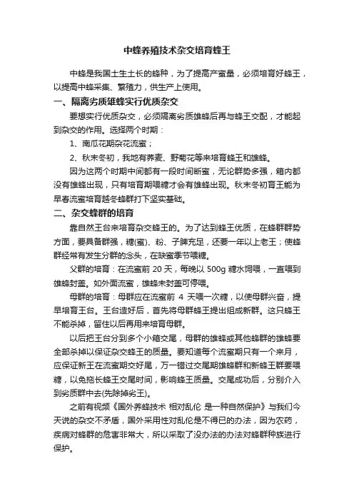 中蜂养殖技术杂交培育蜂王