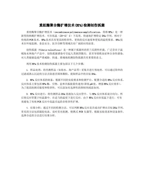 重组酶聚合酶扩增技术(RPA)检测创伤弧菌