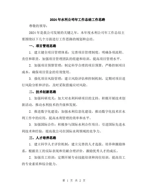 2024年水利公司年工作总结工作思路