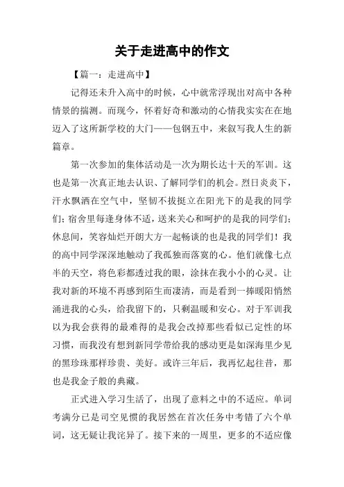 关于走进高中的作文