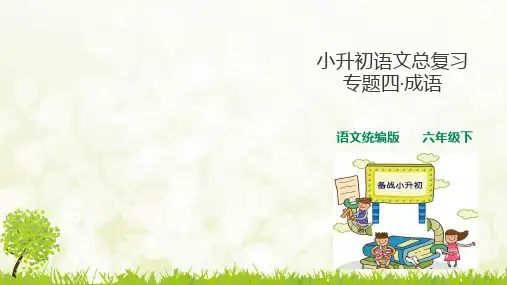 人教统编版小升初语文总复习专题(成语+句子类型辨识与运用)PPT课件