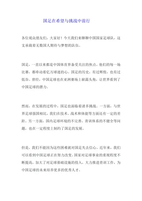 对国足的经典评论