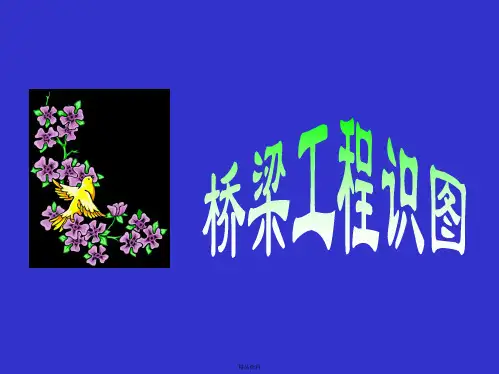 桥梁工程识图讲解