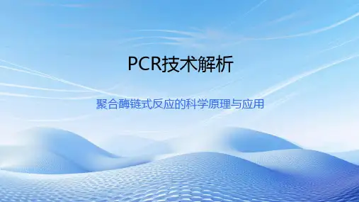 PCR技术解析