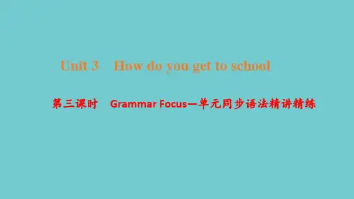 人教版英语七年级下册(浙江地区)作业课件：Unit 3 第三课时 Grammar Focus—单元同步语法精讲精练