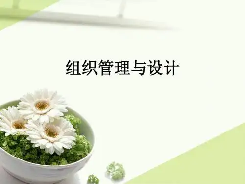 组织管理与设计