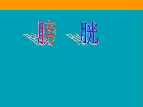 《超声诊断学》泌尿  ppt课件