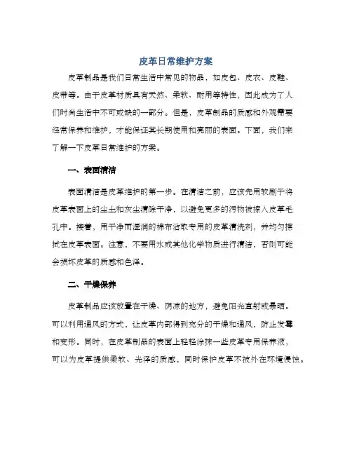 皮革日常维护方案