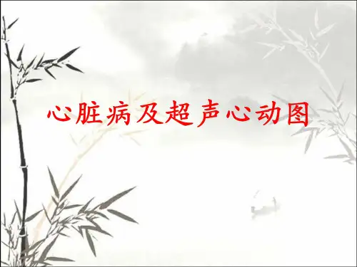 心脏病及超声心动图科普ppt课件