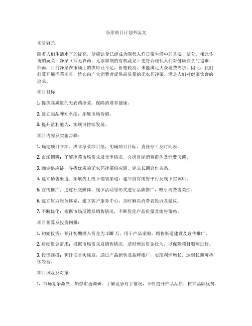 净菜项目计划书范文