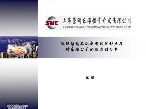 组织结构类型