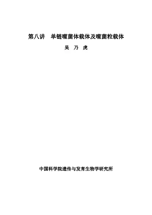 第八讲单链菌体载体及噬菌粒载体