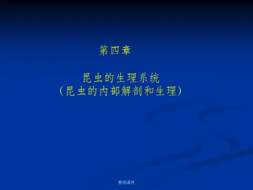 昆虫学第四章 昆虫体壁、消化和排泄系统