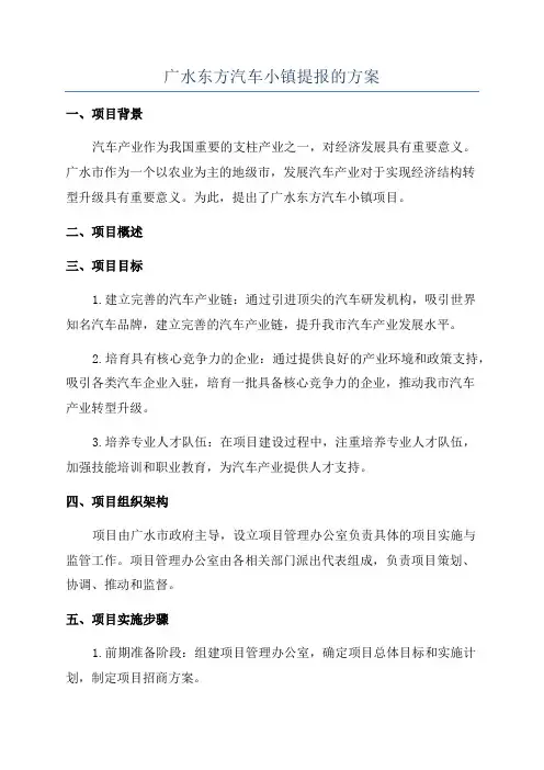 广水东方汽车小镇提报的方案