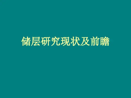 储层研究现状及前瞻