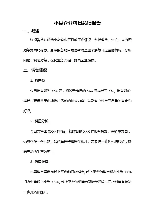 小微企业每日总结报告
