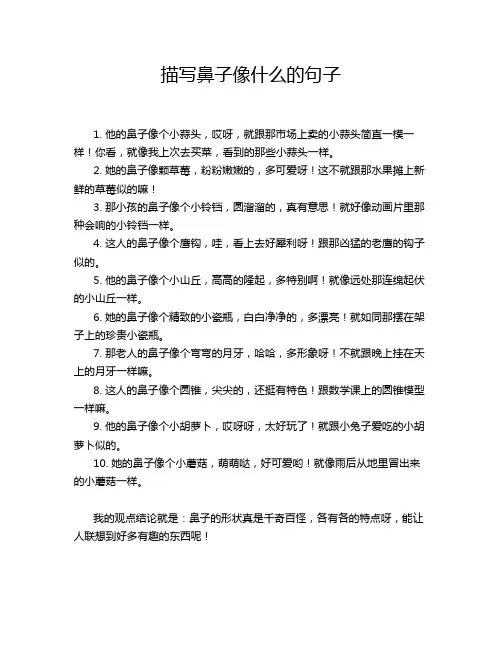 描写鼻子像什么的句子