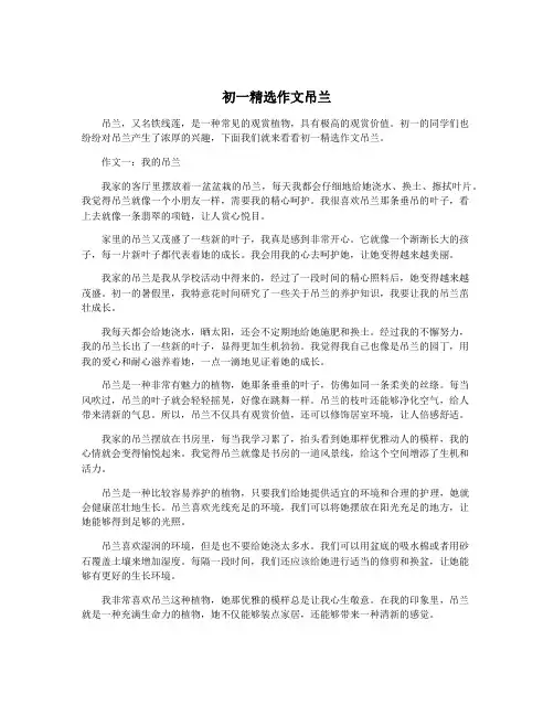 初一精选作文吊兰