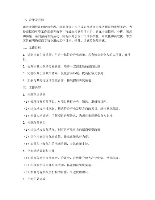 招商专项小组行动方案