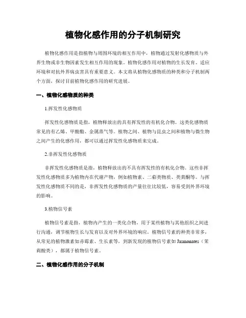 植物化感作用的分子机制研究