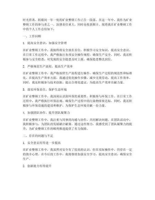 矿业整顿个人工作总结