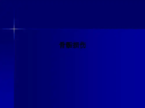 骨骺损伤PPT课件