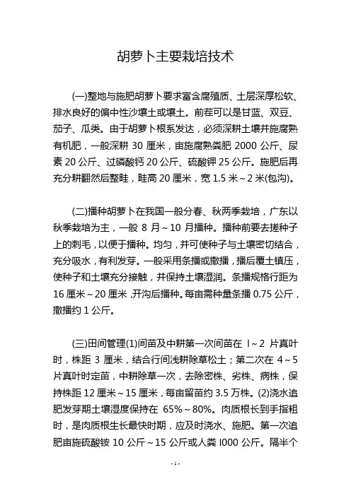 胡萝卜主要栽培技术