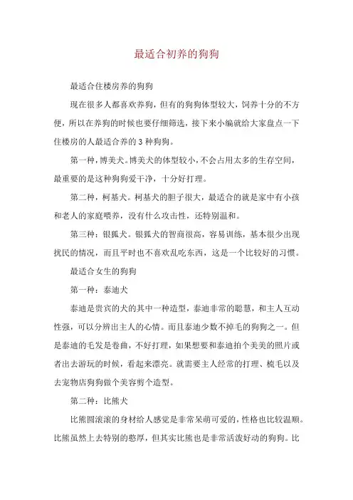 最适合初养的狗狗