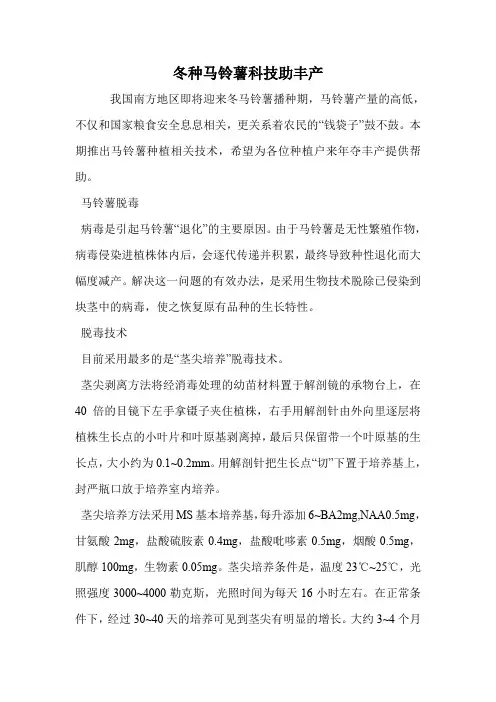 冬种马铃薯科技助丰产 蔬菜 栽培技术.doc