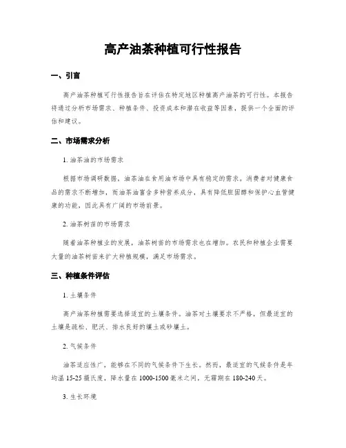 高产油茶种植可行性报告