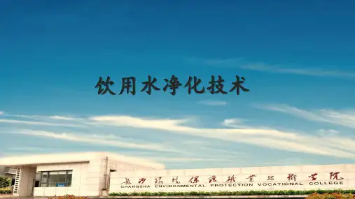 饮用水净化技术——消毒