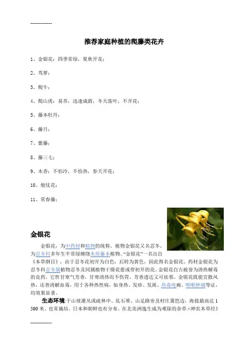 (整理)家庭种植爬藤类花卉专题