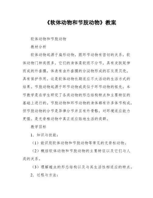 《软体动物和节肢动物》教案