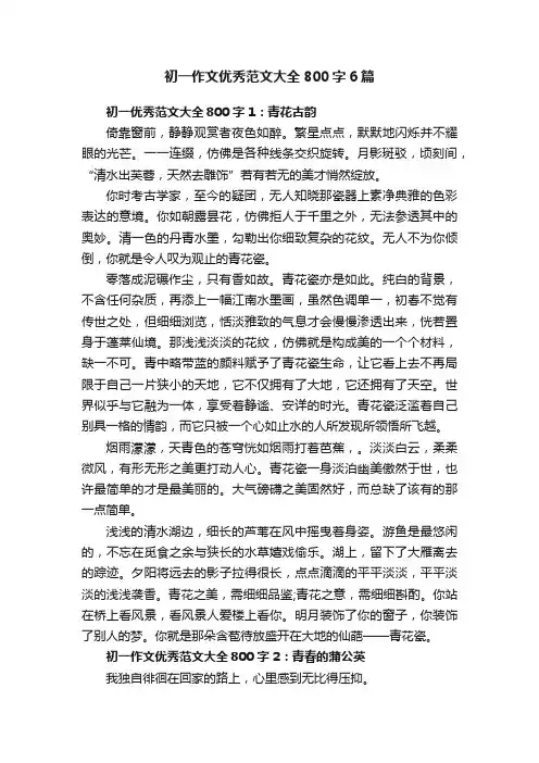初一作文优秀范文大全800字6篇