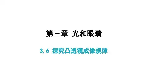 粤沪版物理八年级上册探究凸透镜成像规律习题课件