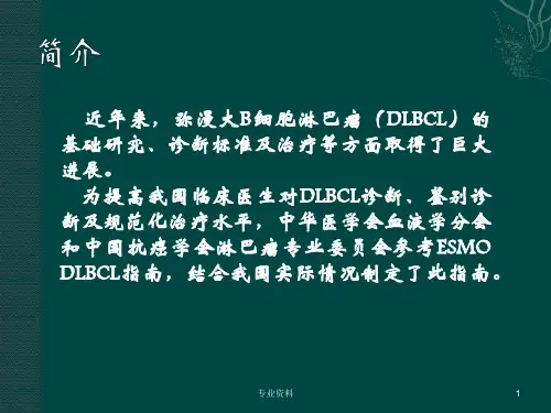 中国弥漫大B细胞淋巴瘤诊疗指南专家指导