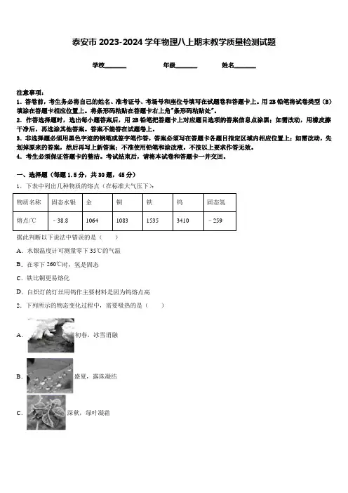 泰安市2023-2024学年物理八上期末教学质量检测试题含答案