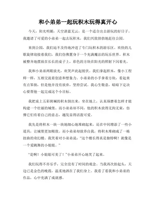 三年级作文那次玩得真高兴之和小弟弟一起玩积木玩得真开心