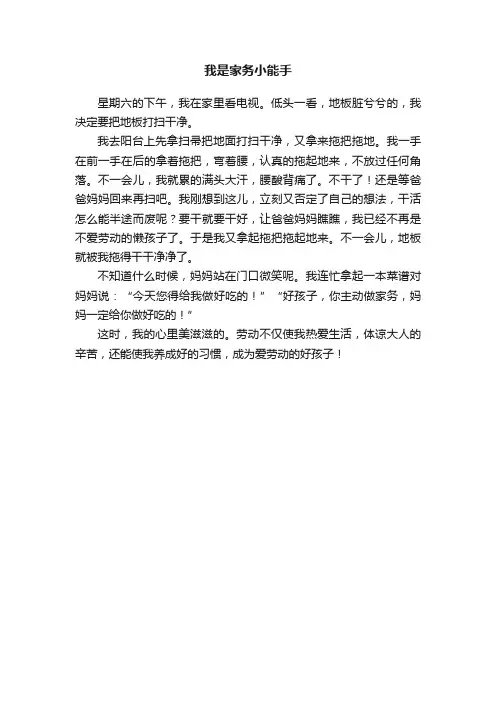 我是家务小能手
