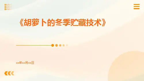 胡萝卜的冬季贮藏技术