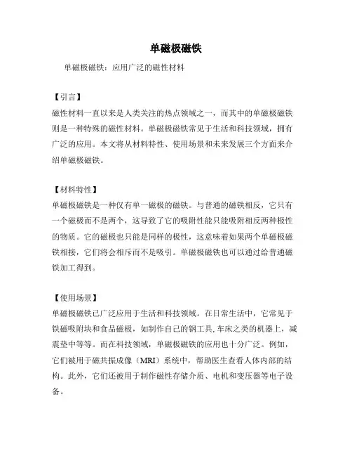 单磁极磁铁