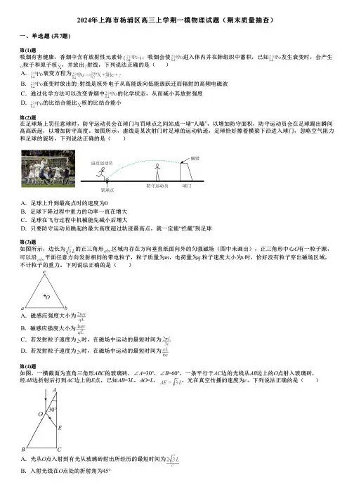 2024年上海市杨浦区高三上学期一模物理试题(期末质量抽查)