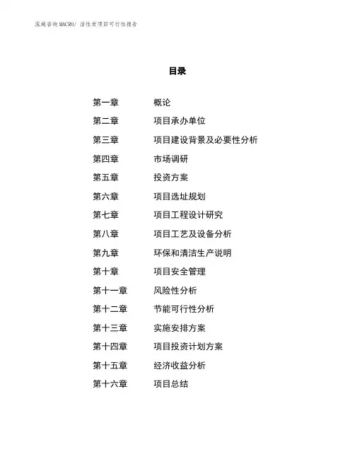 活性炭项目可行性报告 (1)