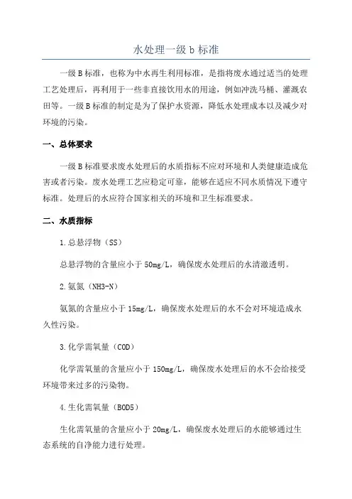 水处理一级b标准