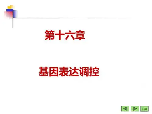 基因表达调控