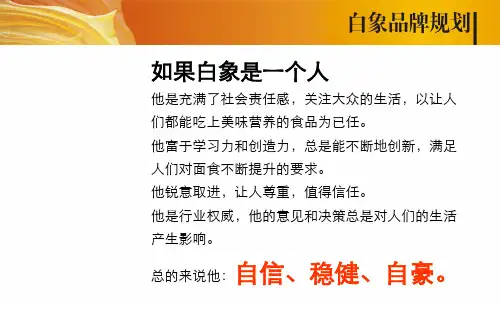 白象方便面品牌战略规划四部曲之(2)