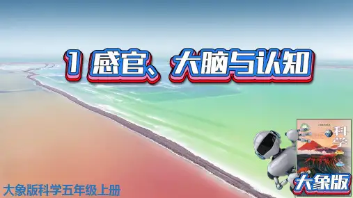 (2021)大象版科学五年级上册第2单元第1课感官大脑与认知精品课件