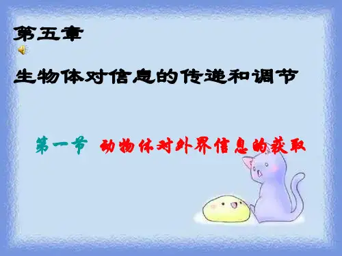 沪科版生命科学高二上5-1《动物体对外界信息的获取》精品课件.