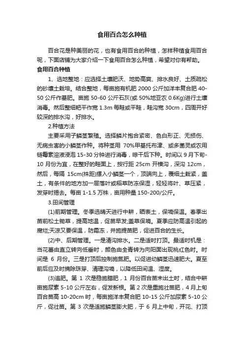 食用百合怎么种植